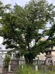 多賀神社(香川県)