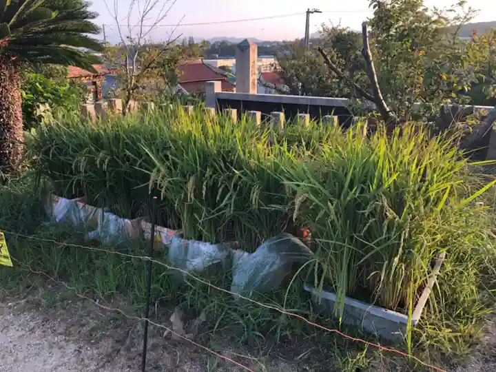 賀茂神社の周辺