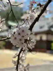 龍城院(岡山県)