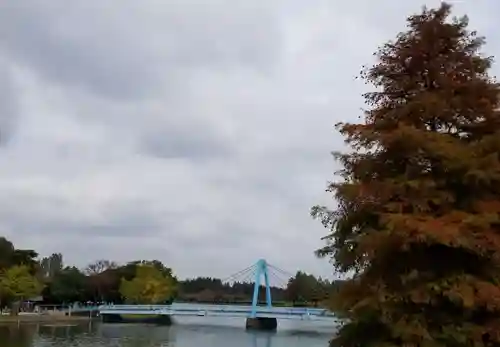 香取神社の周辺