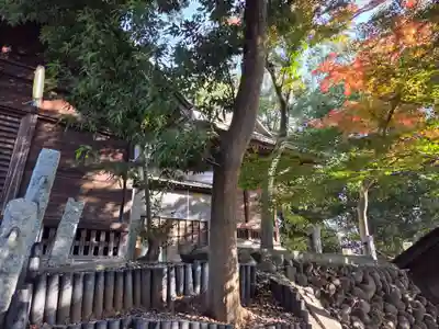 八雲神社(埼玉県)