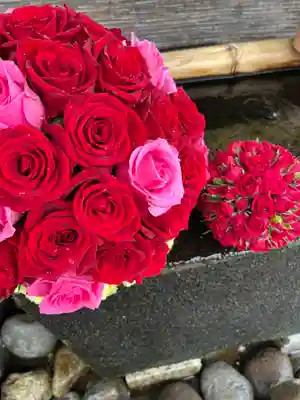 上尾御嶽神社の手水舎