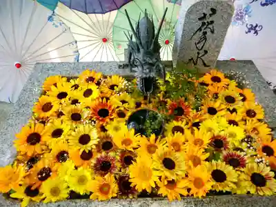 札幌諏訪神社の手水舎