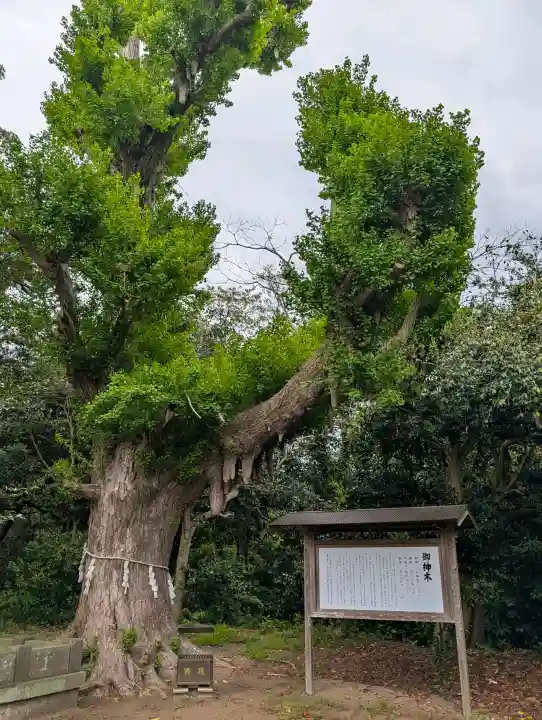 鎌数伊勢大神宮の{uncategorized: "未分類", other: "その他", undefined: "問題あり", building: "その他建物", grave: "お墓", sacred_gate: "鳥居", guardian: "狛犬", statue: "像", buddha: "仏像", history: "歴史", nature: "自然", garden: "庭園", animal: "動物", pagoda: "塔", temizu: "手水舎", mountain_gate: "山門・神門", sanctuary: "本殿・本堂", subordinate: "末社・摂社", art: "芸術", scenery: "景色", jizo: "地蔵", ema: "絵馬", goshuin: "御朱印", omikuji: "おみくじ", items: "授与品その他", amulet: "お守り", goshuincho: "御朱印帳", eats: "食事", festival: "お祭り", votive_dance: "神楽", shichigosan: "七五三参", wedding: "結婚式", experience: "体験その他", initially: "初詣", around: "周辺", anti_infection: "感染症対策"}