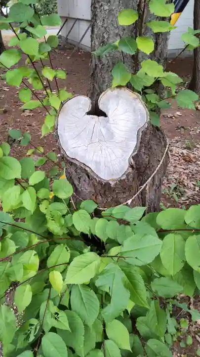 大谷地神社の自然
