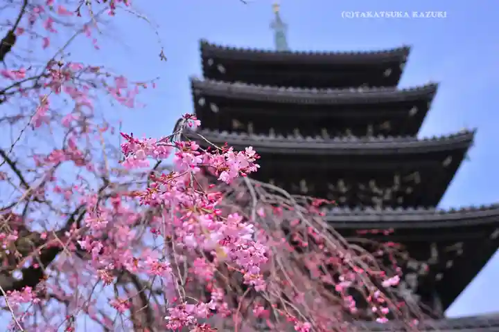 香林寺(神奈川県)
