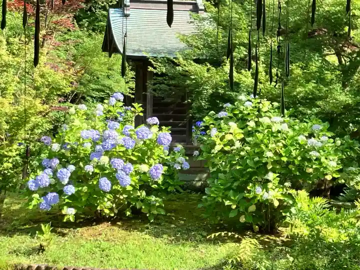 本土寺(千葉県)