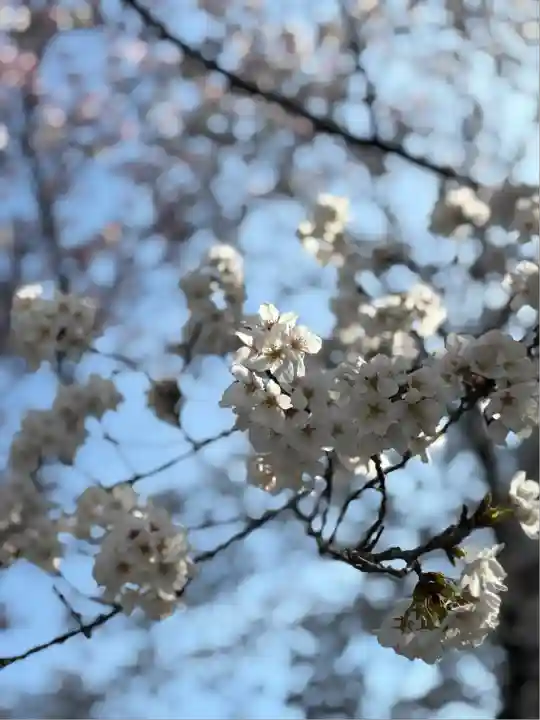 熊野本宮大社(和歌山県)