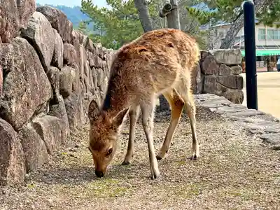 清盛神社(広島県)