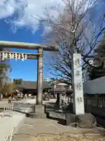 浅草神社の鳥居