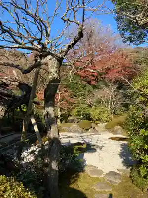 浄妙寺(神奈川県)