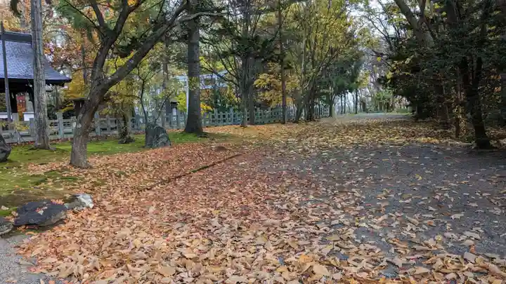 鷹栖神社の自然