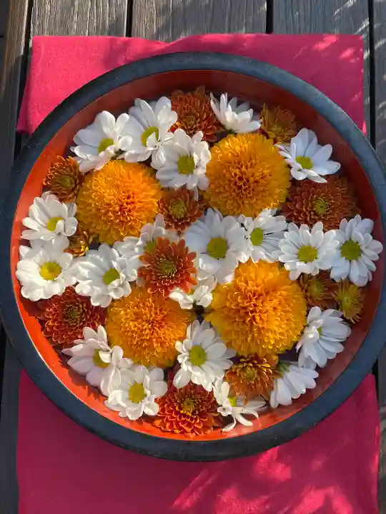 増上寺塔頭 三縁山 宝珠院の手水舎