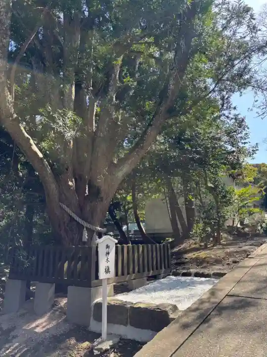 安房神社の{uncategorized: "未分類", other: "その他", undefined: "問題あり", building: "その他建物", grave: "お墓", sacred_gate: "鳥居", guardian: "狛犬", statue: "像", buddha: "仏像", history: "歴史", nature: "自然", garden: "庭園", animal: "動物", pagoda: "塔", temizu: "手水舎", mountain_gate: "山門・神門", sanctuary: "本殿・本堂", subordinate: "末社・摂社", art: "芸術", scenery: "景色", jizo: "地蔵", ema: "絵馬", goshuin: "御朱印", omikuji: "おみくじ", items: "授与品その他", amulet: "お守り", goshuincho: "御朱印帳", eats: "食事", festival: "お祭り", votive_dance: "神楽", shichigosan: "七五三参", wedding: "結婚式", experience: "体験その他", initially: "初詣", around: "周辺", anti_infection: "感染症対策"}