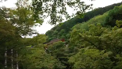 清水寺の景色