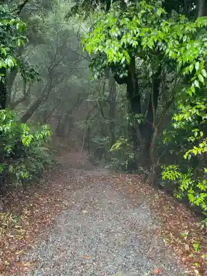 高良大社奥宮（奥の院）(福岡県)
