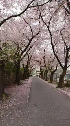 千ケ瀬神社の自然