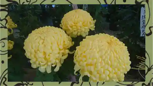 草加神社(埼玉県)