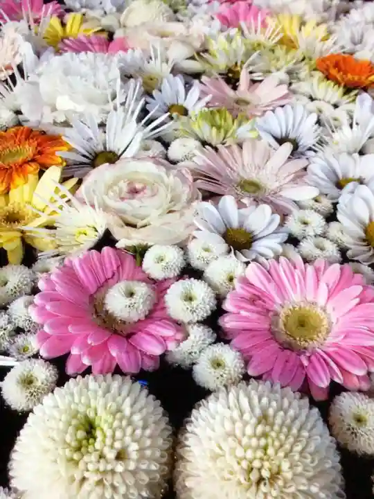 高円寺氷川神社(東京都)