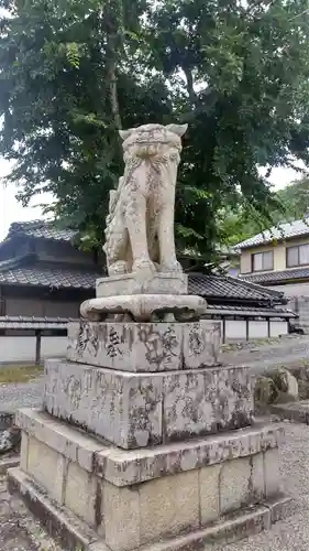 大隅神社の狛犬