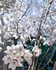 滑川神社 - 仕事と子どもの守り神の自然