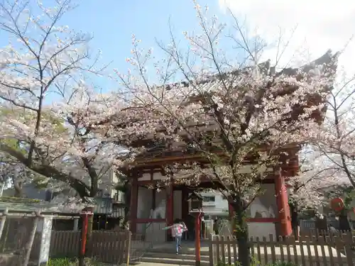 瀧泉寺（目黒不動尊）(東京都)