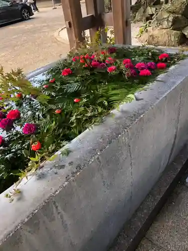 宮地嶽神社の手水舎