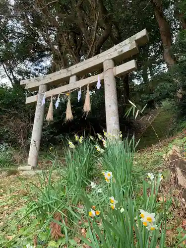 鶴ヶ峰八幡神社の鳥居