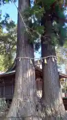 日枝神社(静岡県)