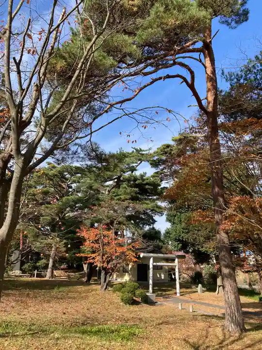 宇倍神社の自然