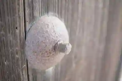 成就院のその他建物