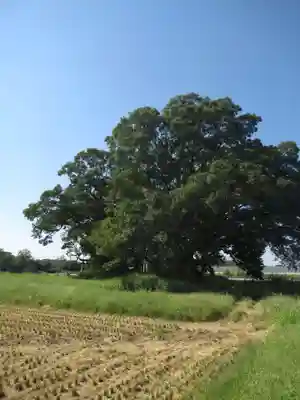神明神社(千葉県)