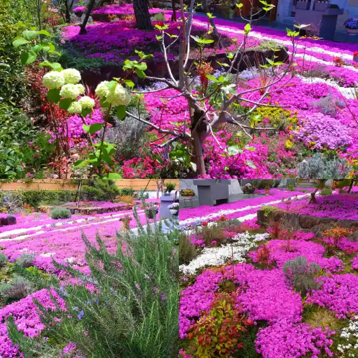 寿量山 速成寺(奈良県)