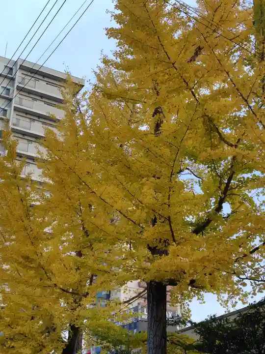 阿邪訶根神社(福島県)