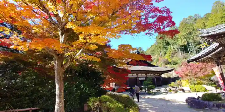 善水寺の自然