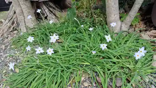 鎌達稲荷神社(京都府)
