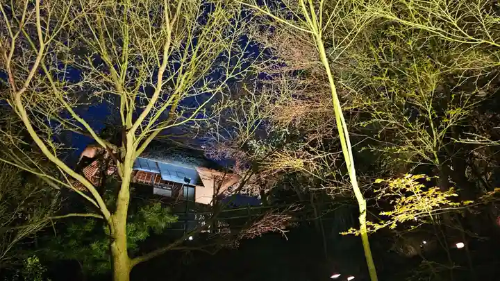 高台寺(高台寿聖禅寺・高臺寺)(京都府)