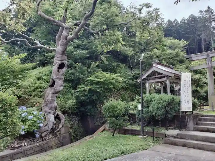上ノ國八幡宮(北海道)
