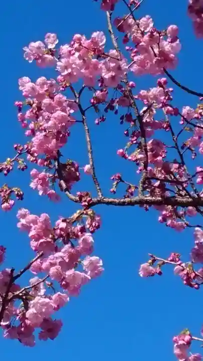 寛永寺(根本中堂)(東京都)