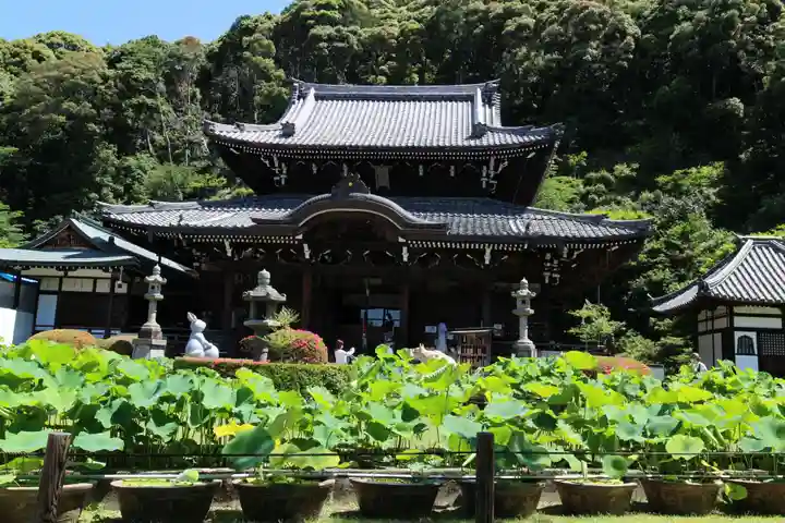 三室戸寺の本殿・本堂
