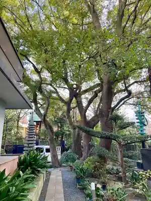 久遠寺(神奈川県)