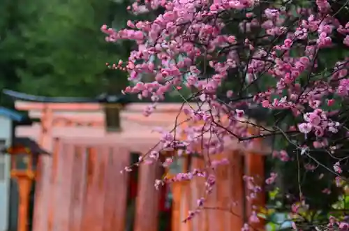 片埜神社(大阪府)