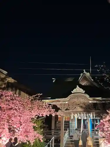 桜神宮(東京都)