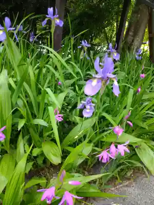 国宝 長寿寺(滋賀県)