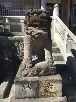 普天満宮の狛犬