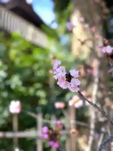 岩槻愛宕神社(埼玉県)