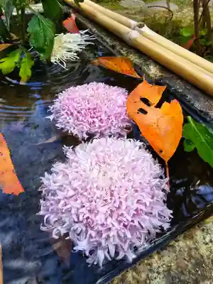 宝蔵寺(京都府)