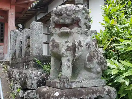 若宮八幡宮の狛犬