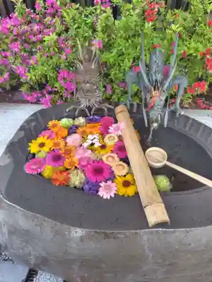 駒込妙義神社(東京都)