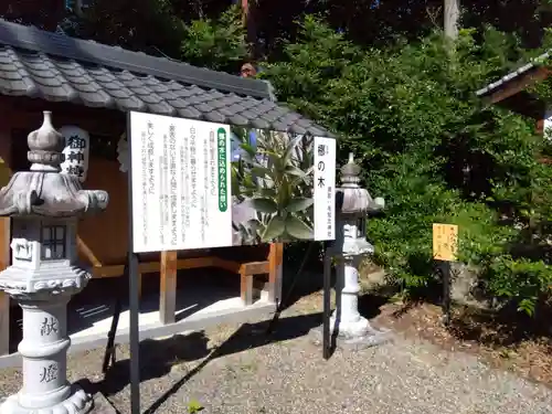 毛知比神社(滋賀県)